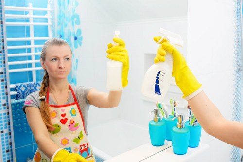 Professional pet stain odour removal in Northolt for carpets