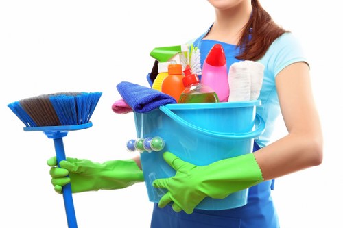 Deep cleaning treatment for pet odours in Northolt homes