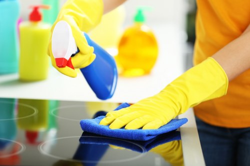 Annual review of the modern slavery statement and safeguards