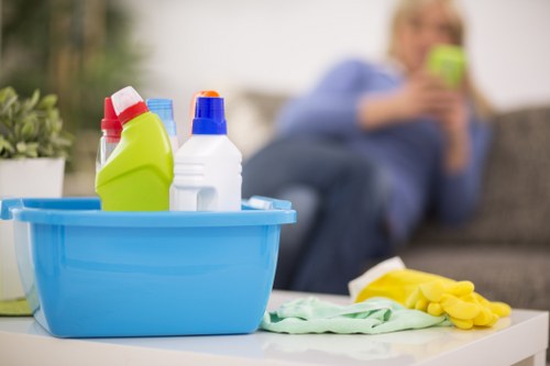 Removing stubborn pet stains and smells from upholstery